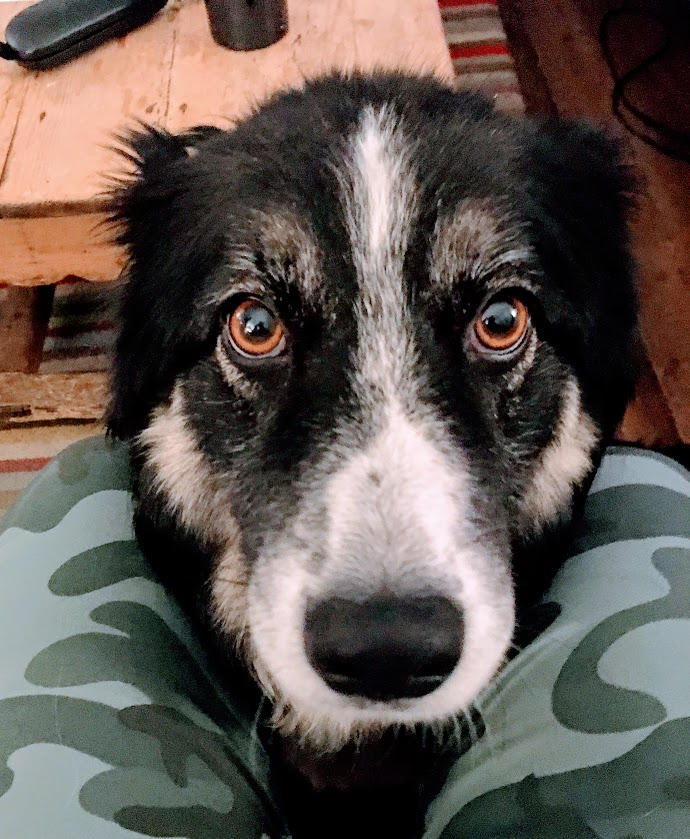 Blake Lindsey tweet media