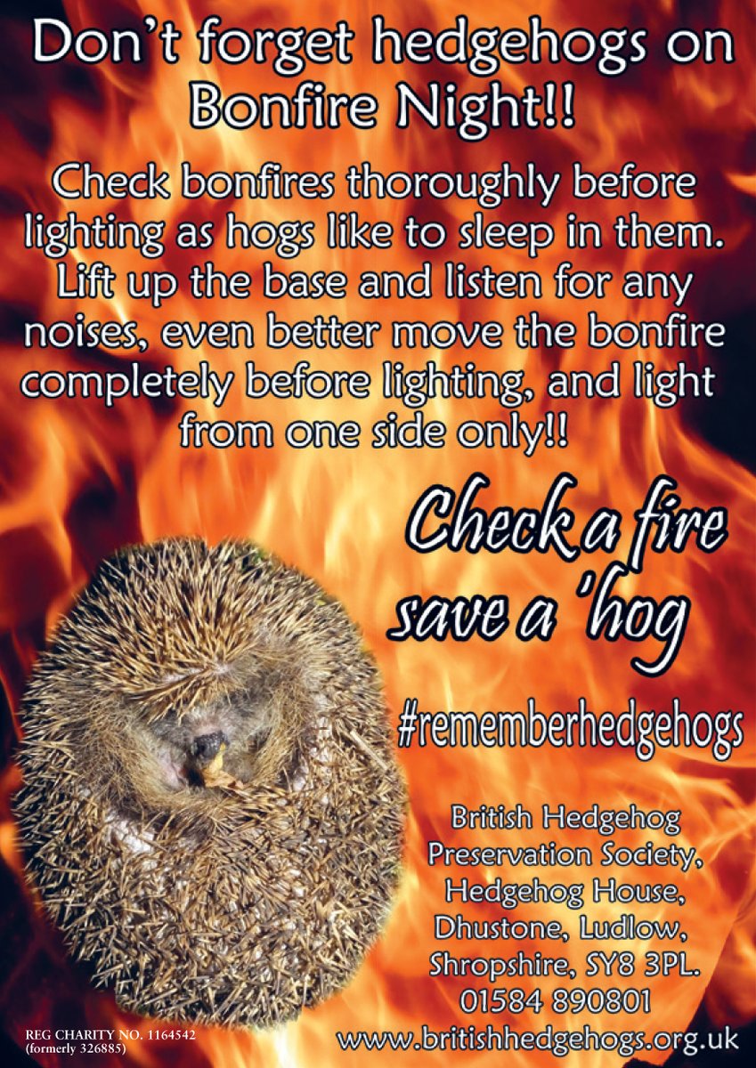 NE_WestMids's tweet photo. If you are enjoying the #BonfireNight celebrations over the #weekend, please check before you light for hedgehogs and other hibernating wildlife!
@hedgehogsociety #remeberhedgehogs #hedgehogs https://t.co/VVyTBKx95h