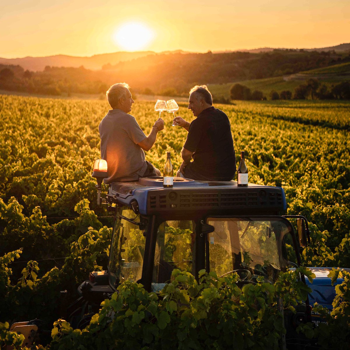 In the South of France, Pays d'Oc made more than 600,500 hectolitres of varietal Chardonnay in 2022 – almost as much as all the other whites combined. Here we select 13 favourite <a href="/PaysdOcIGPWines/">Pays d'Oc IGP Wines</a>  unoaked Chardonnays from a tasting of the 2022 vintage. the-buyer.net/tasting/wine/p…