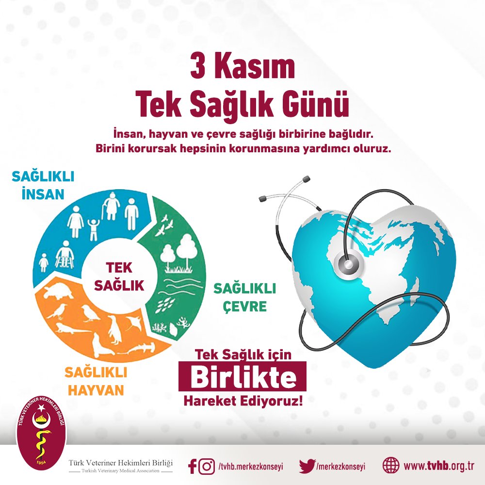 3 Kasım Tek Sağlık Günü’nde deprem nedeniyle ortaya çıkan asbeste dikkat çekiyoruz

Tek Sağlık yerel, ulusal ve küresel düzeylerde — insanlar, hayvanlar ve çevre bakımından ideal sağlık koşulları elde etmek için — farklı disiplinlerin iş birliği içinde çalışmasını kapsayan bir