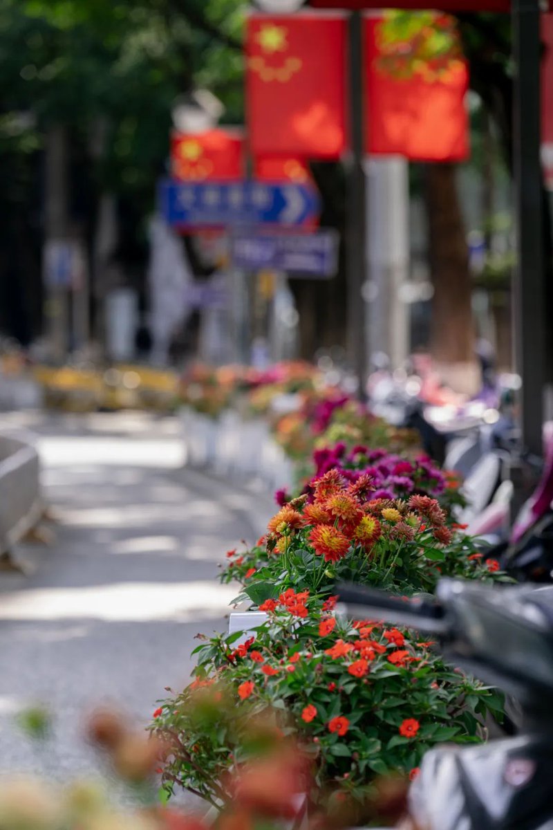 Kunminginfohub's tweet photo. 🏞️🌿 Discover the enchanting beauty of Kunming's urban landscape, where picturesque parks and vibrant green spaces weave seamlessly into the city fabric. Experience the refreshing allure of this green oasis right in the heart of the city. #UrbanJungle #RefreshingRetreat #Kunming https://t.co/PNLKeBBbuz