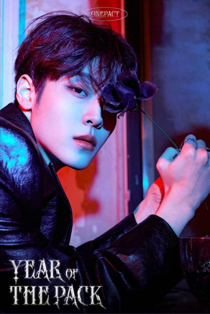 ONEPACTソンミン オソンミン ジェロム トレカ onepact ソンミン サノク-