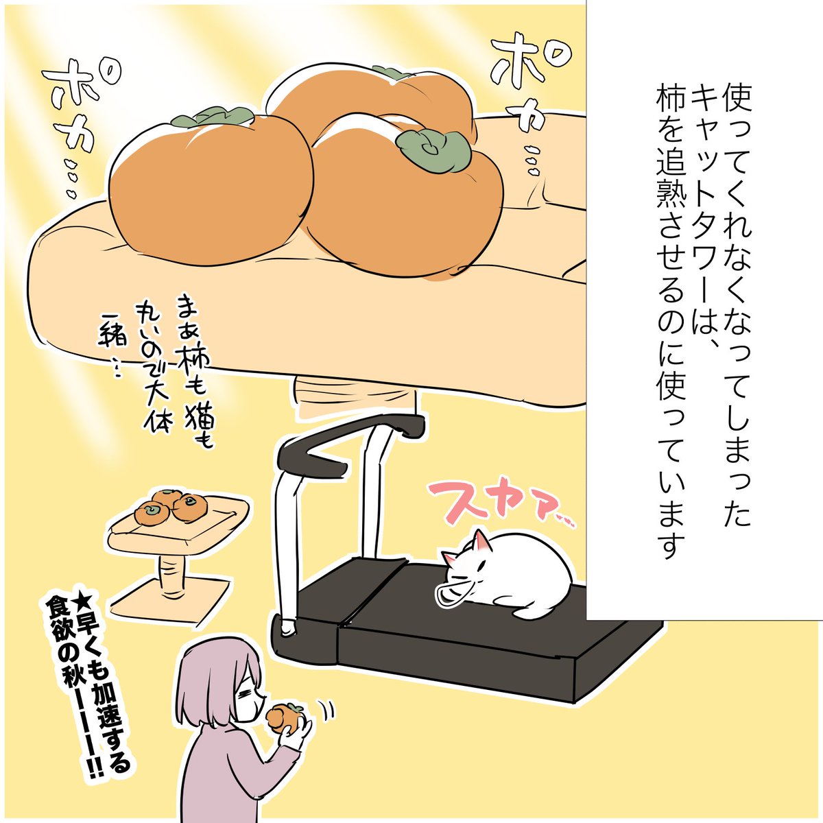 猫のせいで太った話(1/2) #漫画が読めるハッシュタグ #愛されたがりの白猫ミコさん