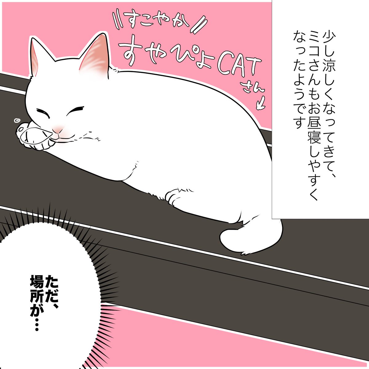 猫のせいで太った話(1/2)
#漫画が読めるハッシュタグ 
#愛されたがりの白猫ミコさん 