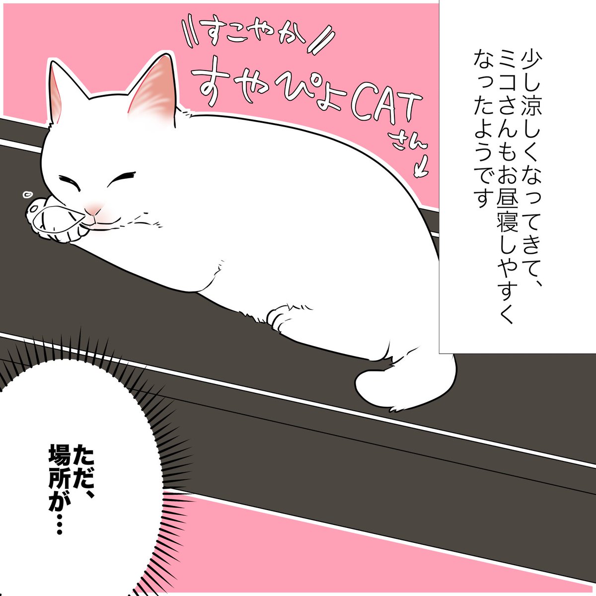 猫のせいで太った話(1/2)
#漫画が読めるハッシュタグ
#愛されたがりの白猫ミコさん