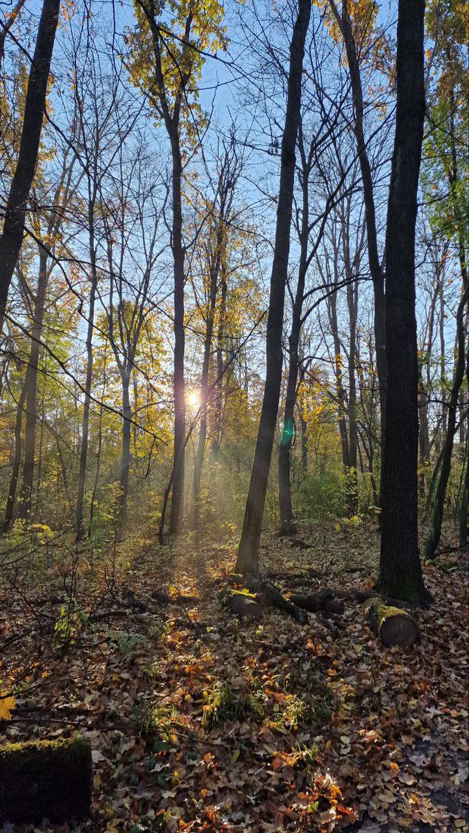 BraveUFund's tweet photo. 🤩✨️💫Good morning, Friends!

What will we do today together for Ukraine 🇺🇦?

⚡🔥⚡Our SIGNUM REVENGE RAFFLE is BOOMING - WE HAVE 🔥🌟🤩DONATION MATCHING PROMOTION!
https://t.co/x5NFs4XtGV

So hurry up and get your double tickets 🎟 🎫 for our cool raffle!

🇺🇦DONATE:
PayPal: liz@braveu.fund
BuyMeACoffee: https://t.co/vEZwL1j9jT
Bank cards: https://t.co/vEx9Qm6WtO

❤️‍🔥🫶 I and @BRAVEUMilTech & @BraveUFund teams wish you a good 🌅 Morning and productive day!

🤩✨️💫おはようございます、友達！

今日はウクライナ🇺🇦のために一緒に何をしましょうか？

⚡🔥⚡シグナム リベンジ ラッフルは大盛況です - 🔥🌟🤩寄付マッチング プロモーションを実施中です!
https://t.co/x5NFs4XtGV

急いでダブルチケット 🎟 🎫 を手に入れて素敵な抽選会を手に入れましょう！

🇺🇦寄付:
PayPal: liz@braveu.fund
BuyMeACoffee: https://t.co/vEZwL1j9jT
銀行カード: https://t.co/vEx9Qm6WtO

❤️‍🔥🫶 私と @BRAVEUMilTech チーム、@BraveUFund チームは、皆様にとって良い 🌅 朝、そして生産的な 1 日が過ごせることを祈っています。

❤️✊🇺🇦🫶🇯🇵

#AndriiWorks
#BRAVEUFundWorks
#BRAVEUMilTechWorks
#StandWithUkraine