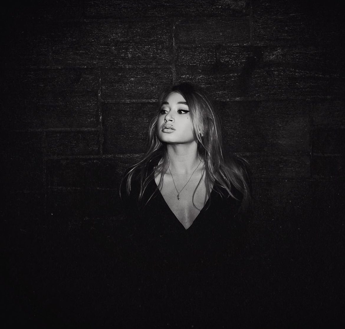 Rizing Playlists tweet media