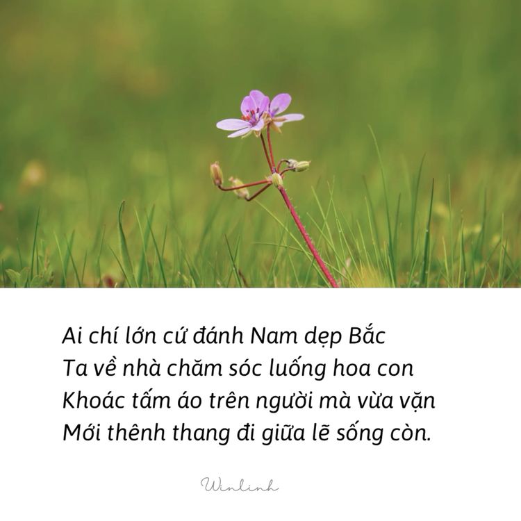 tduy71893's tweet image. Calling all builders - the future of the web involves #TokenCentricArchitecture. Start preparing now with tools from leaders like @SmartLayer 👨‍💻 #smartlayer