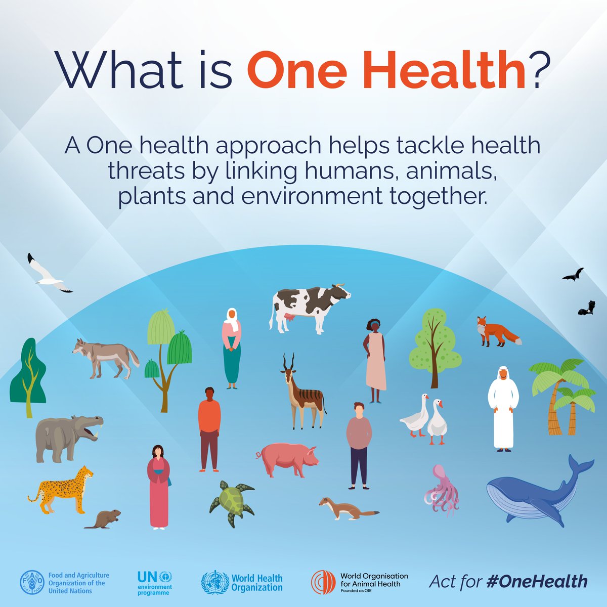 Today is #OneHealth Day.

Have you heard of One Health❓

It’s a relationship between humans, animals, plants &amp; the environment. It relies on the understanding of how human actions and policies could affect animal, plant &amp; environment health &amp; how it impacts humans as a result.