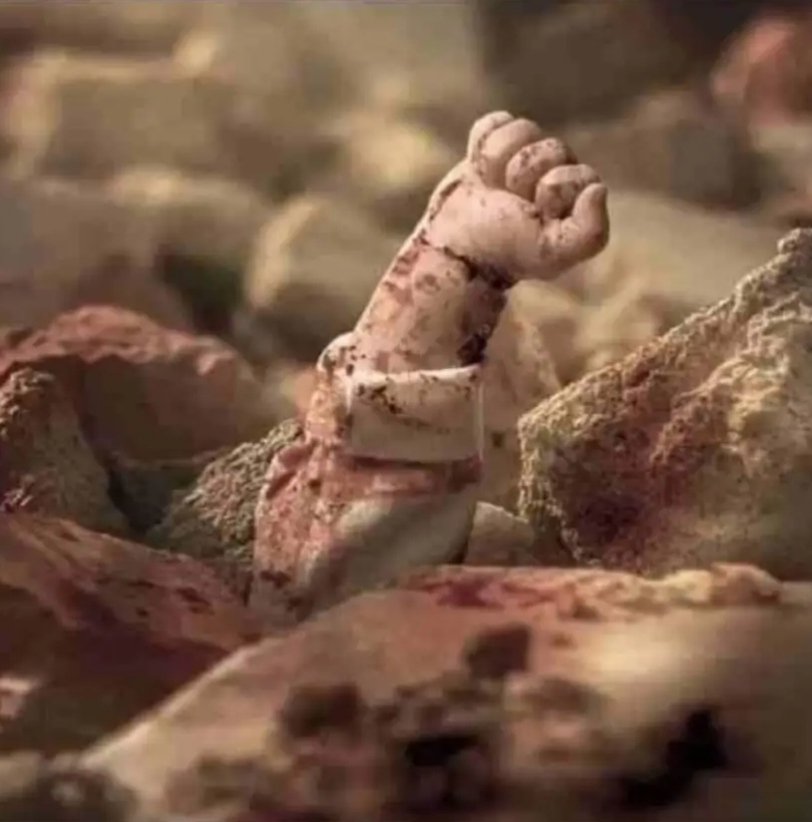 The children are killing by #IsraeliTerrorist, will be resurrected thousand times...

The children who witnessed the #GazaGenocide &amp; become orphans, will destroy Israel tomorrow.

The world will witness it. The generation after generation will never forget Israel’s brutality!