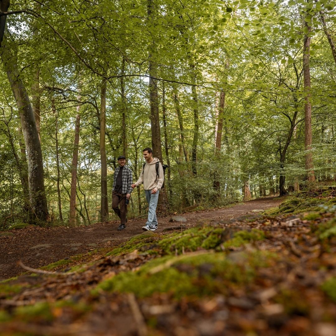 ForestryEngland tweet picture