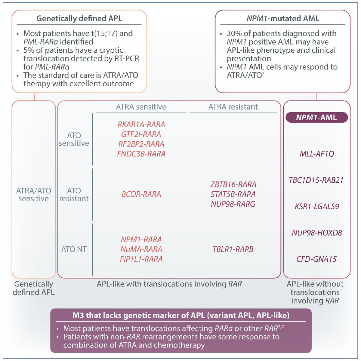Haematologica's tweet image. In this issue of Haematologica, a new study explores the transcriptome features of acute #promyelocytic-like leukemia cases lacking #RAR rearrangements.  haematologica.org/article/view/h…