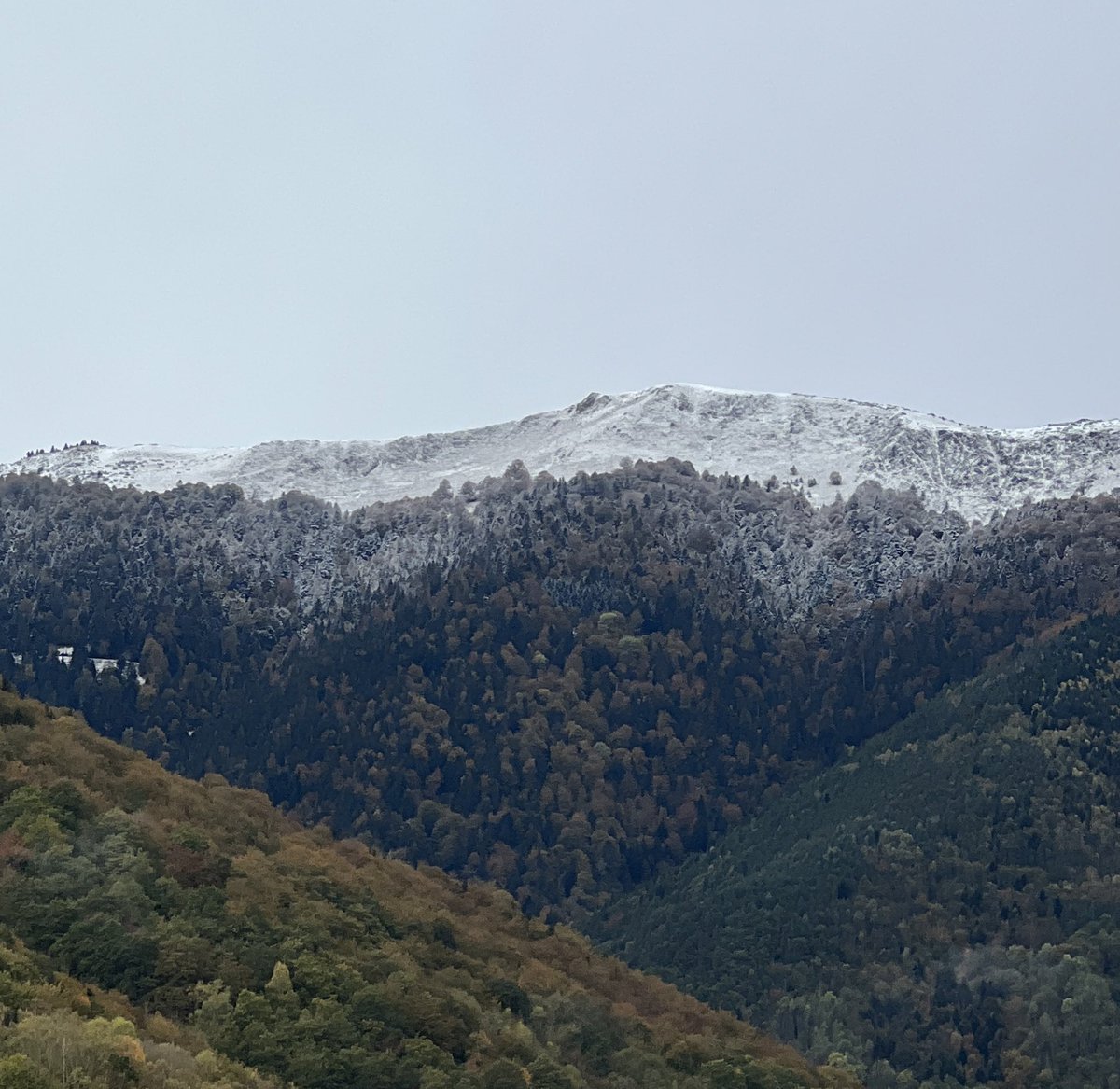 Le col d’aspin est bien saupoudré ce matin ❄️ Elle est bien descendue ! #neige #aurelouron #pyrenees #ski 🎿<a href="/Meteo_Pyrenees/">Météo Pyrénées</a> les spatules frétillent !😜