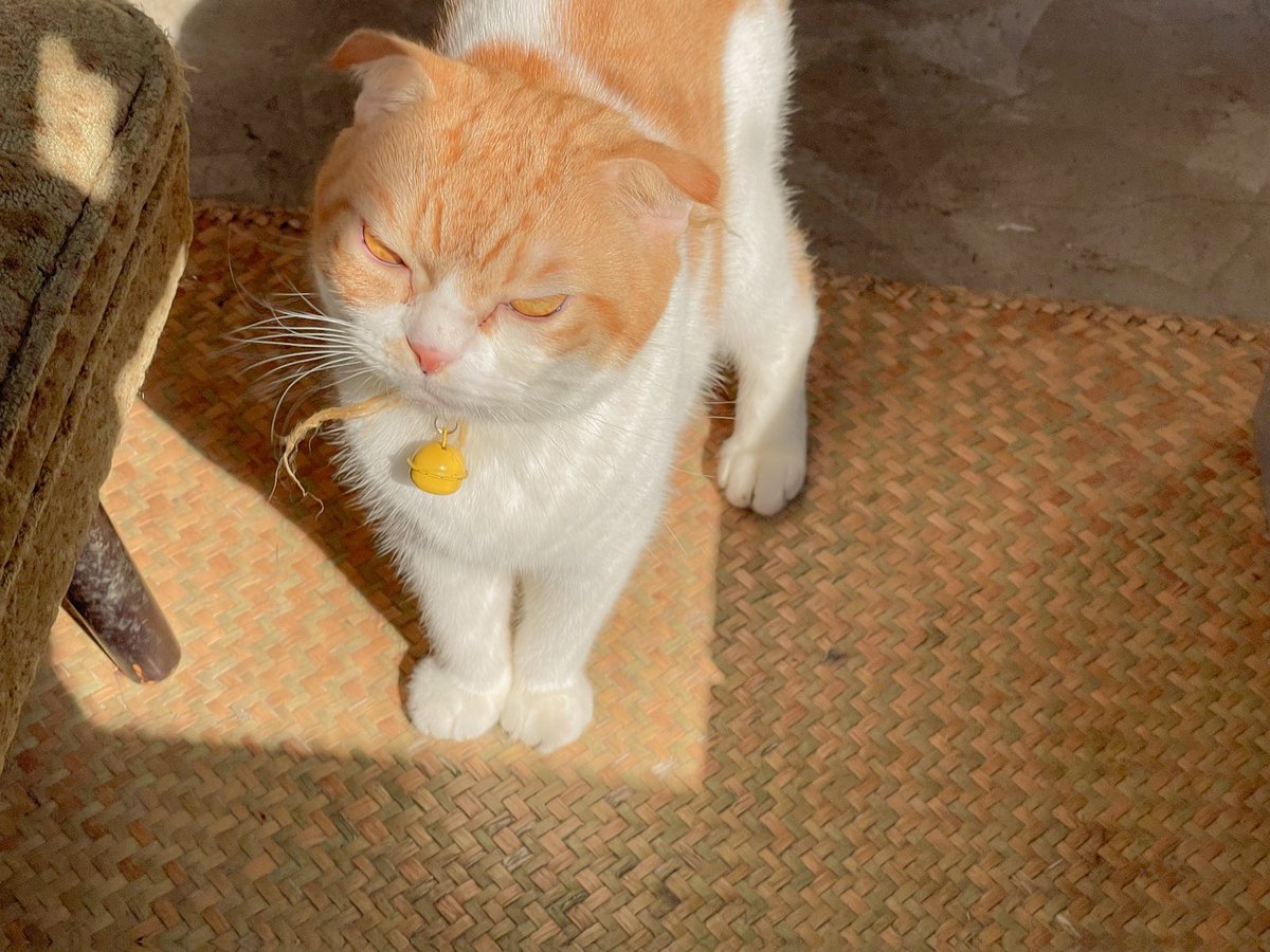 กินไม่เกิน100 tweet media