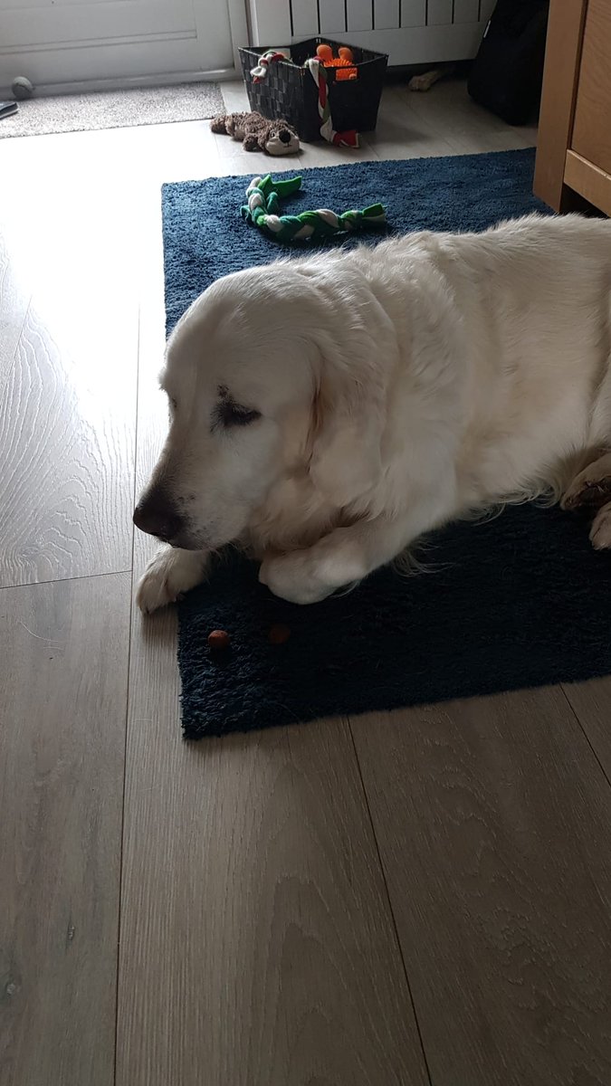 Steen in je maag en kramp in je hart als je je schatje zo ziet 😢 #ziek