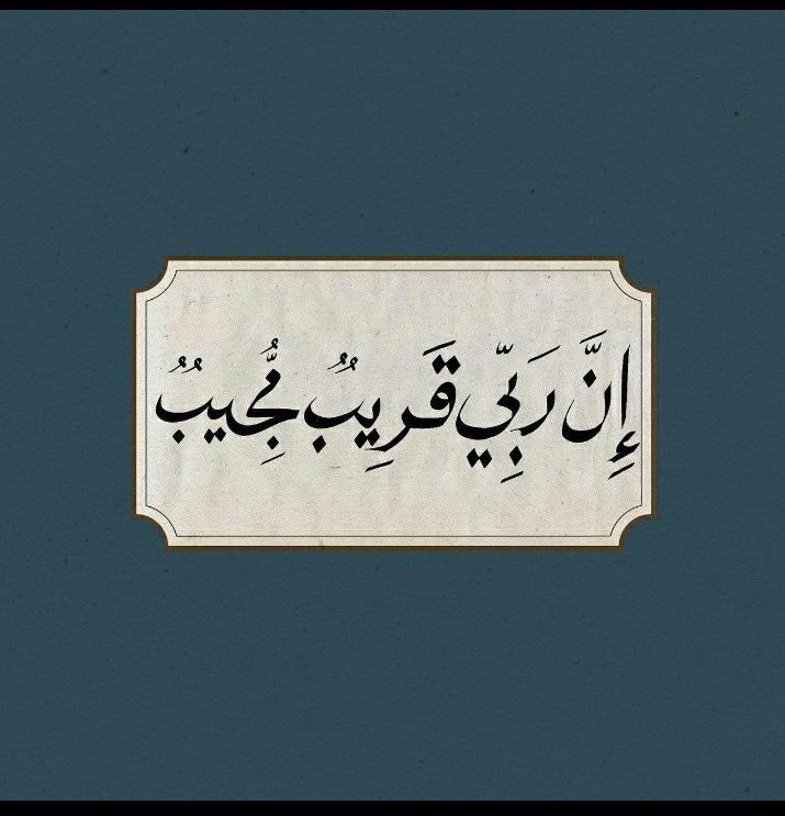  دالــيـــا tweet media