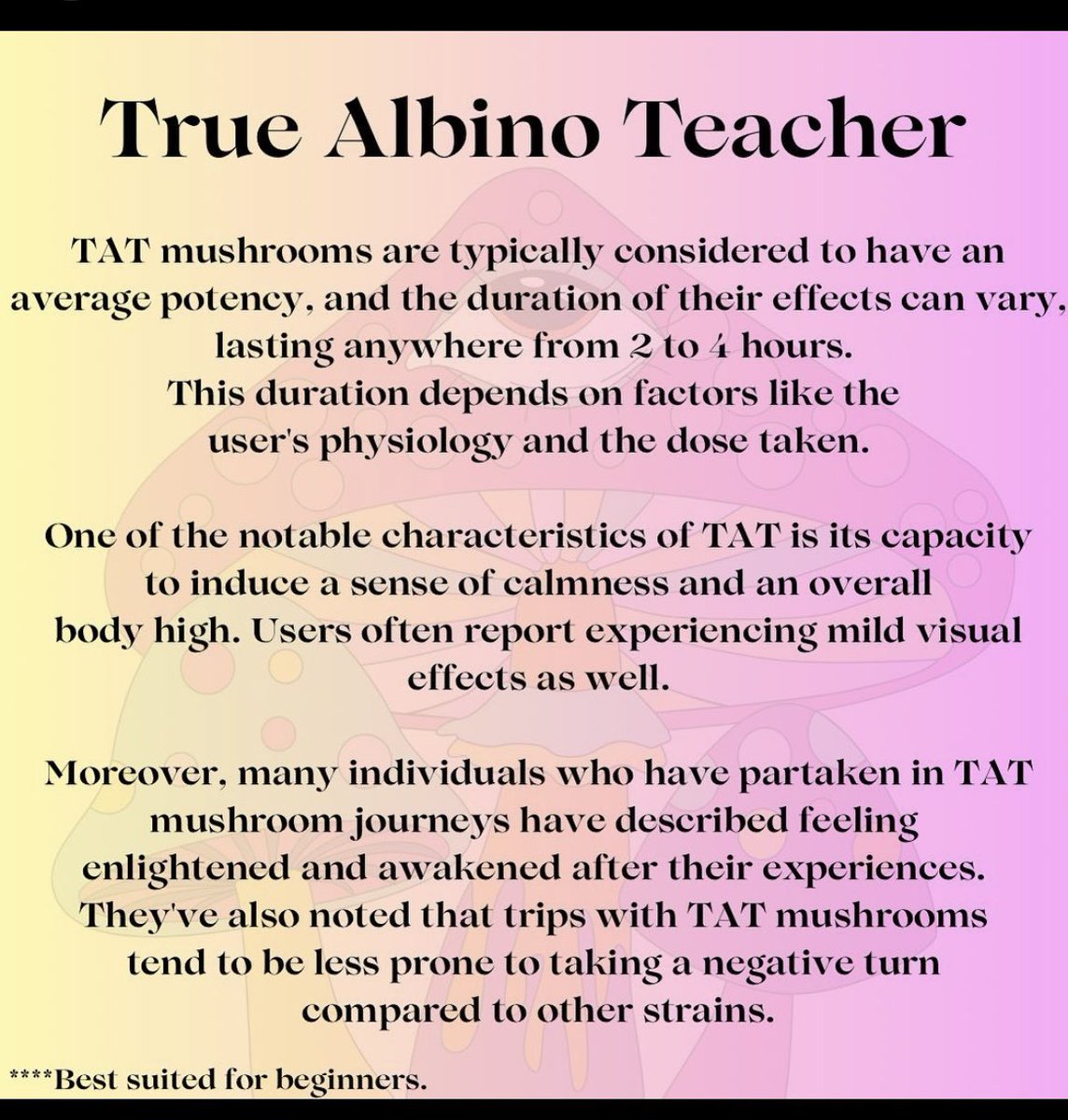 microbloomco's tweet image. have you tried?!
#psychedelics #shroom #microdose #microbloom #mushrooms