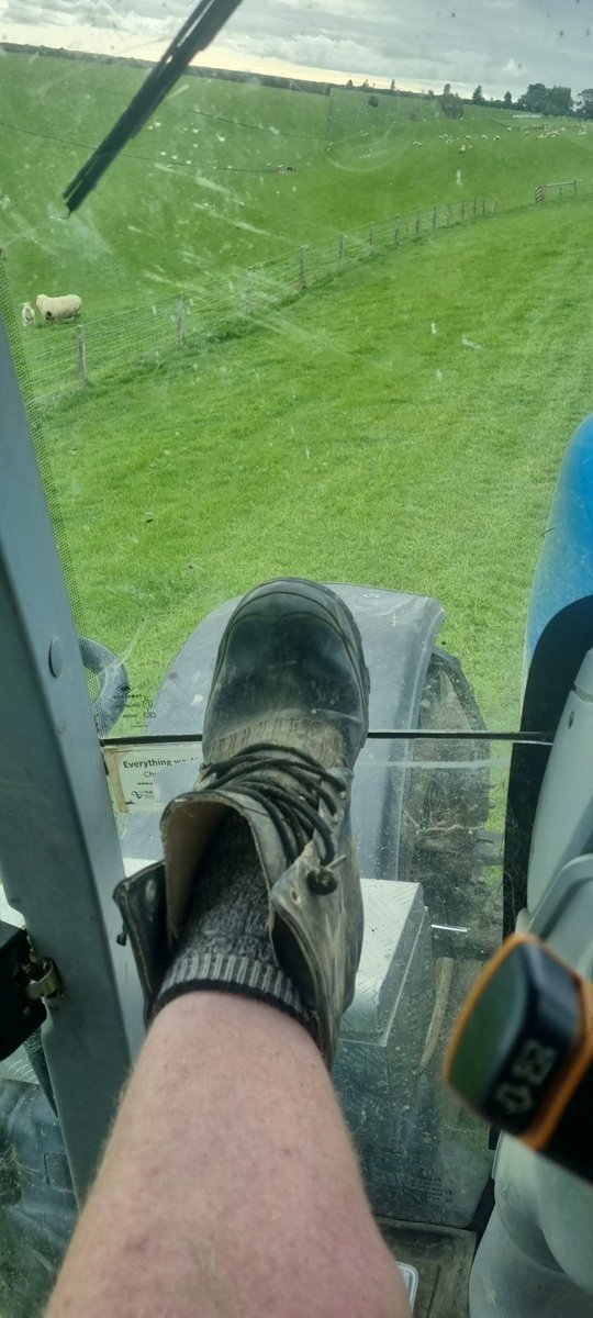BenDooley8's tweet photo. #Gumbootfriday https://t.co/E88HKSizi2