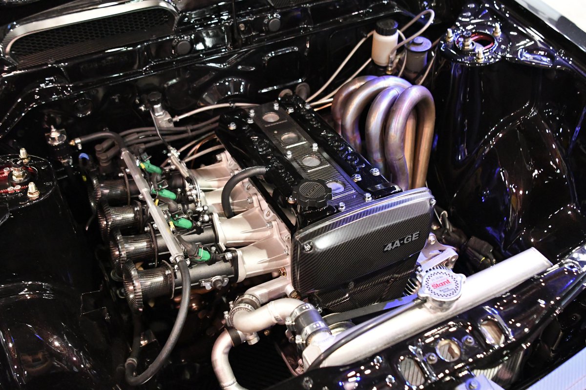 𝔻𝕒𝕟𝕚𝕖𝕝 𝔹𝕖𝕧𝕚𝕤 tweet media