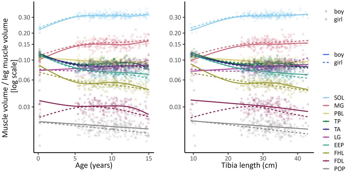 Bart Bolsterlee tweet media