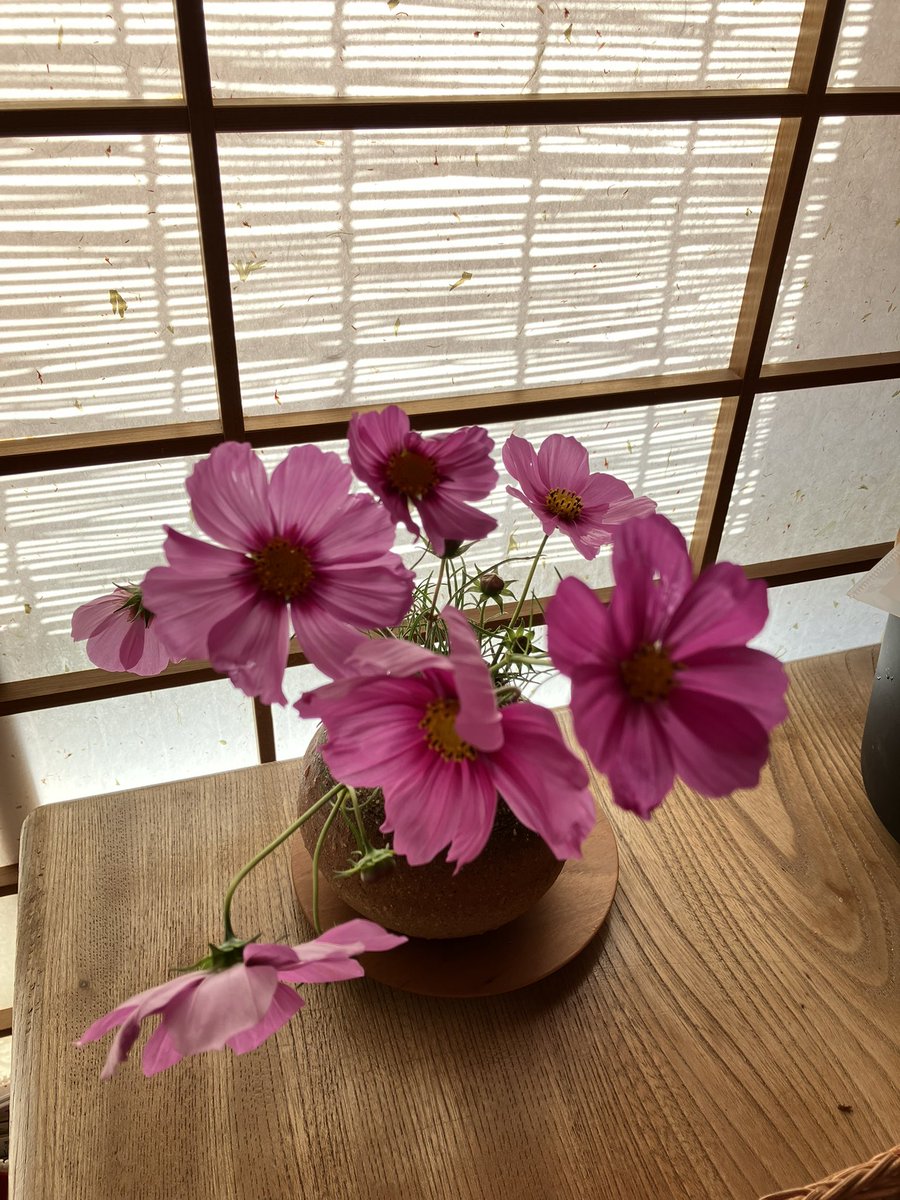 38sun3's tweet photo. 博多は秋日和…可愛い秋を見つけてきました♪ https://t.co/5NDm2KE3bW