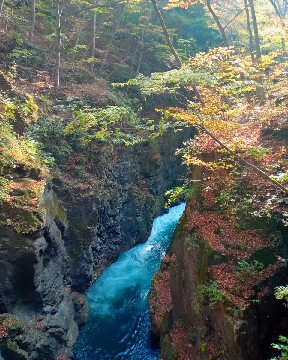 #吾妻峡 #群馬の紅葉 #群馬県東吾妻町 #耶馬渓しのぐ吾妻峡