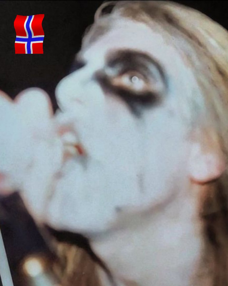 Burning Bush/Winged Euonymus » Conservation Office, image size:960x1200