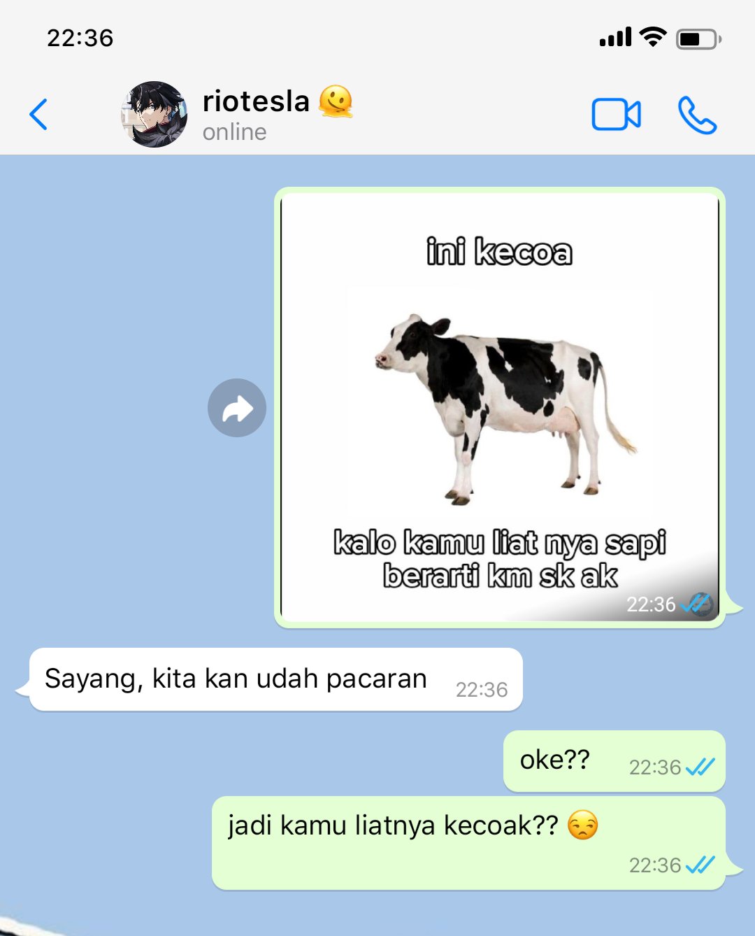 Meme Sticker Sapi Memes Sapi Besok Senin😫😫