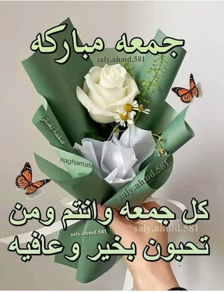 كريم الخفاجي (@karimalkafage) on Twitter photo 