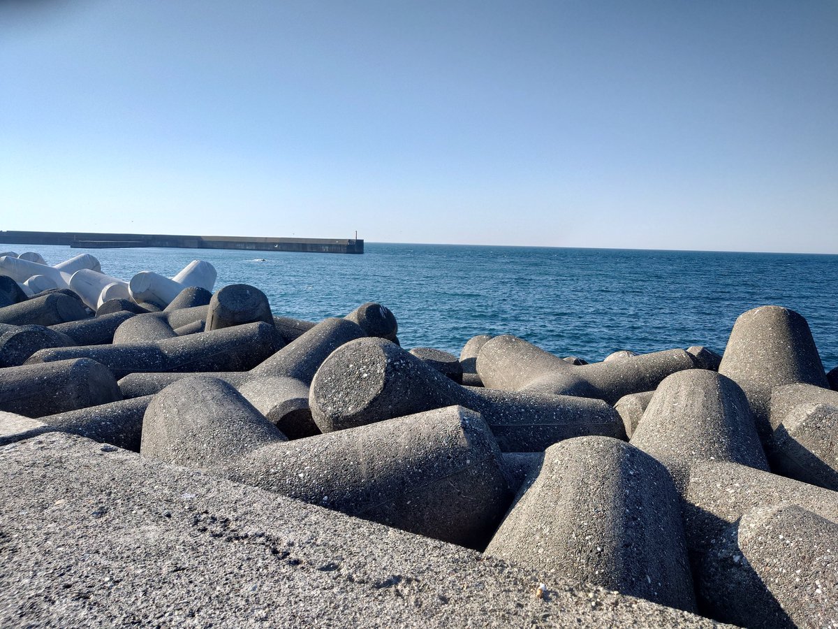 afurom's tweet photo. 蟹が食べたくて新潟の海に来たよ https://t.co/RPE7gD4cCK