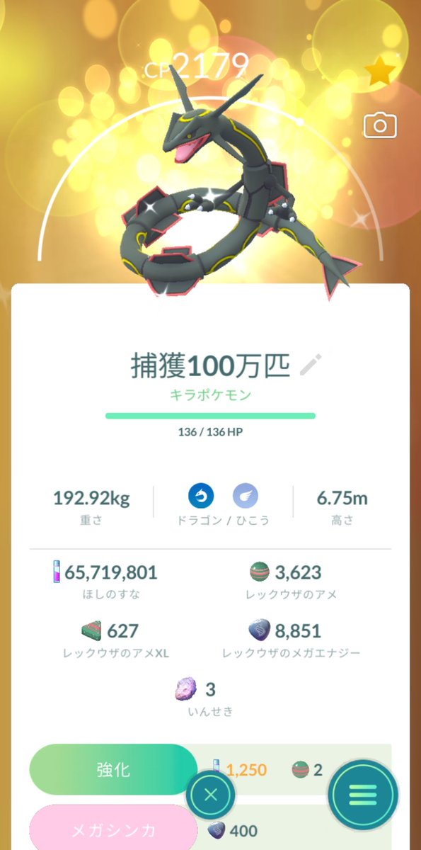 nisemo331 tweet media