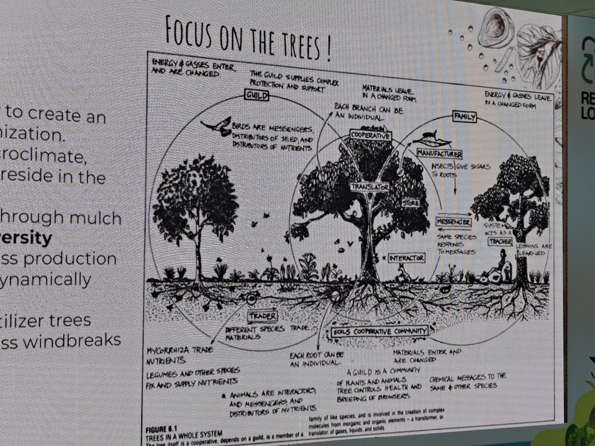 Why planting a tree is not only planting a tree #shiokfarm <a href="/SBBANGKOK/">SB BANGKOK</a>