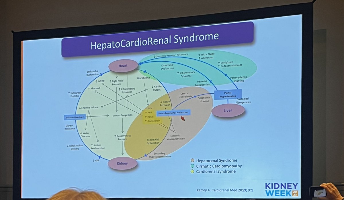 #KidneyWk 
“Hepatocardiorenal syndrome”
A coexitence entity