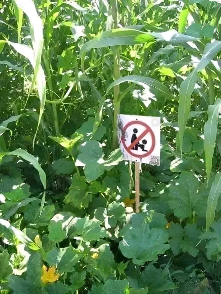 Vuto lake muthu 😂😂