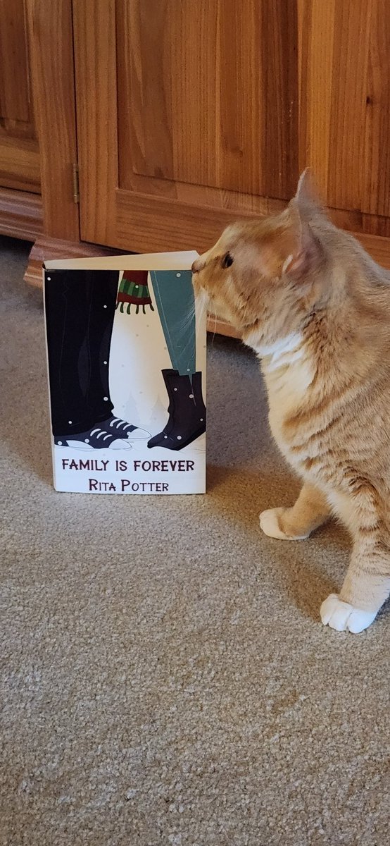 My marketer wants you to know Family Is Forever is available now 😁