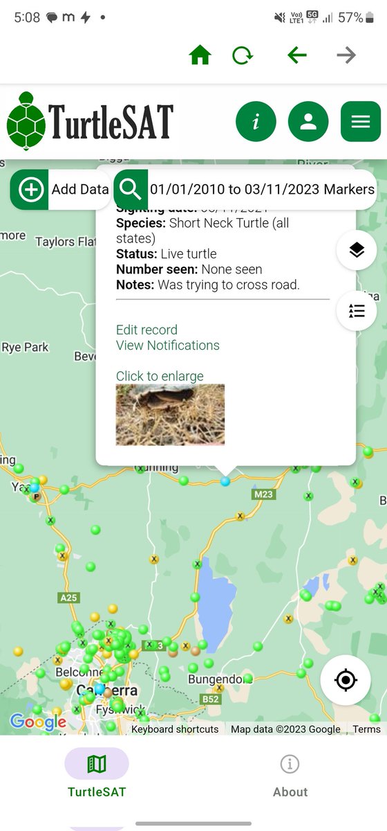 TurtleSAT tweet media