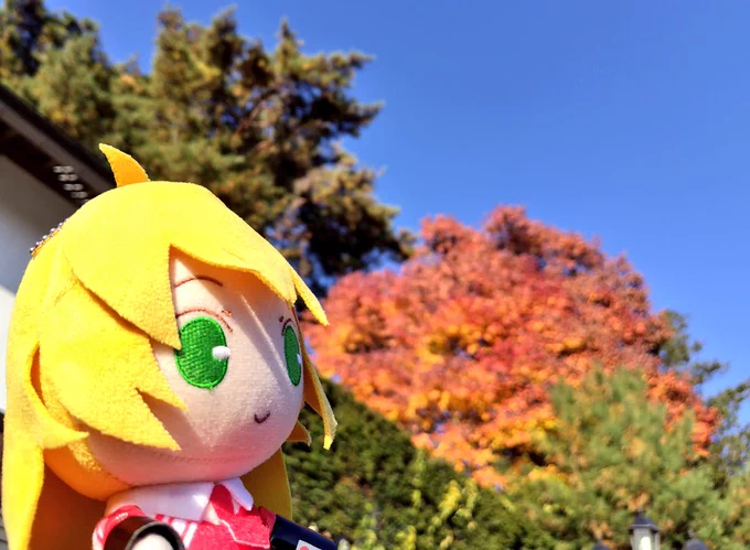 いいてんき! めっちゃ色付いてた…