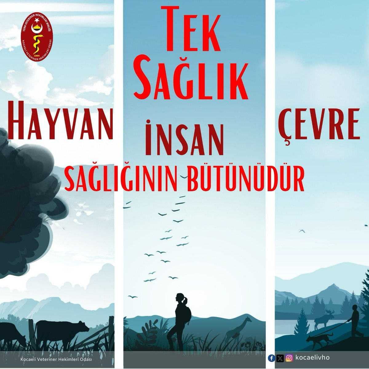 İnsan, hayvan ve çevre sağlığı birbirine bağlıdır, birini korursak hepsinin korunmasına yardımcı oluruz. #onehealth #teksağlık #teksağlıkgünü