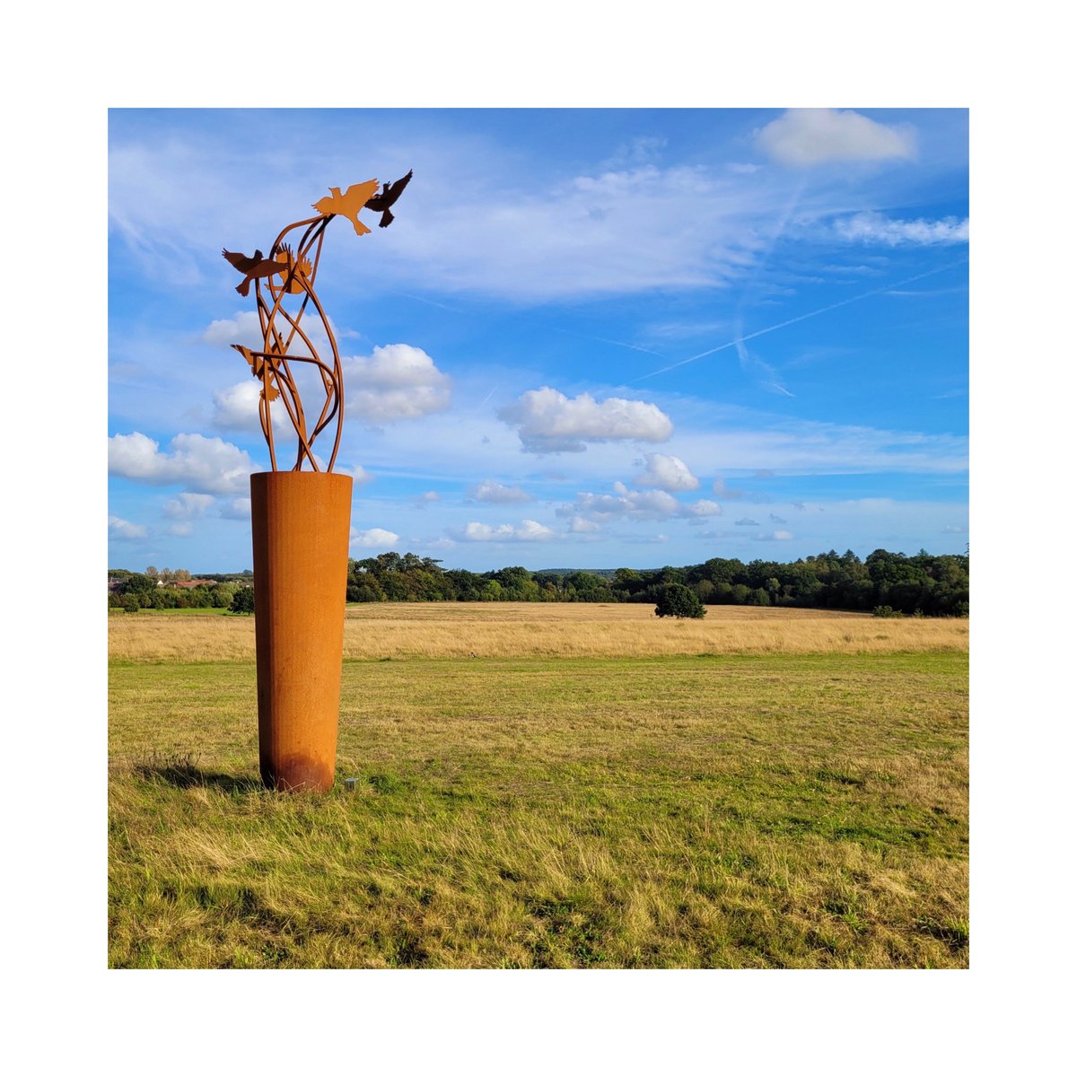 S K Y L A R K S

HUGE thank you to the INCREDIBLY talented @juliamorrisonphoto for taking these new photos of my Skylark sculptures!

These 2x monumental steel sculptures are fully circular - created from uncoated Corten Steel so they can be recycled at end of life. 5x discrete b
