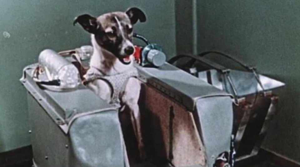 CerebrosG's tweet photo. 3 de noviembre de 1957, hace exactamente 66 años la Unión Soviética lanzó al espacio el Sputnik II, su 2º satélite, en el iba la perrita "Laika", el primer ser vivo en orbitar la Tierra, lamentablemente ella nunca regresó a nuestro Planeta. https://t.co/x9c9qGcQJB