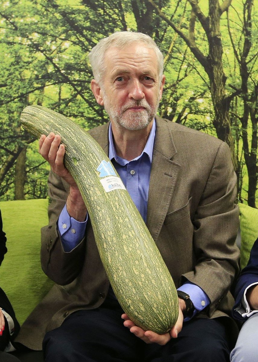 HHMU_Banksia's tweet photo. #DearJeremy
#YouAreONEderful
#YOU have the backing of SO MANY GUIDES...
#TheOnePerSpent despise u b/c u are everything they are #NOT
#TYJeremy4BeingU-#KINDnessDoesMatter #JollyGreenGiant-#HoHoHo-#WhiteSanta
#MarrowCHALLENGE @mikecoulson48 @Zoompad @SpectreDetector #IDWP https://t.co/afrOlGAgPu