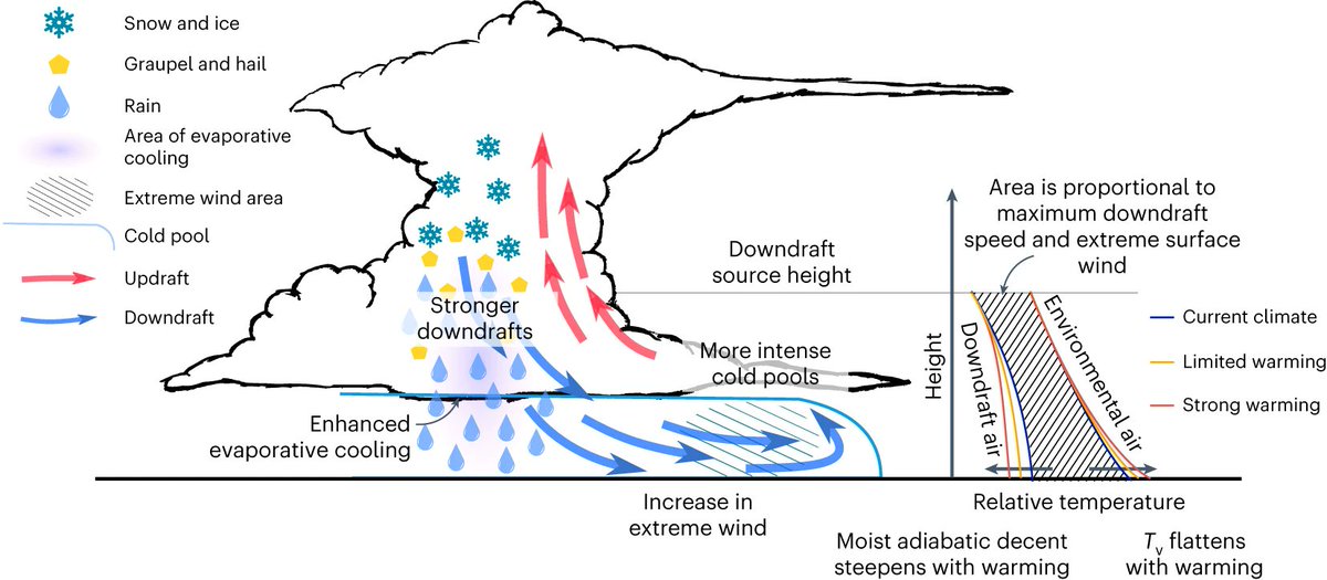 erichfischer's tweet photo. Extreme thunderstorm wind gusts intensify with climate change

Fascinating new @NatureClimate paper by Andreas Prein showing how thunderstorm straight line winds intensify with climate change. I wonder whether this also played a role in the 2023 La-Chaux de Fonds event? https://t.co/mAToSLE6mH