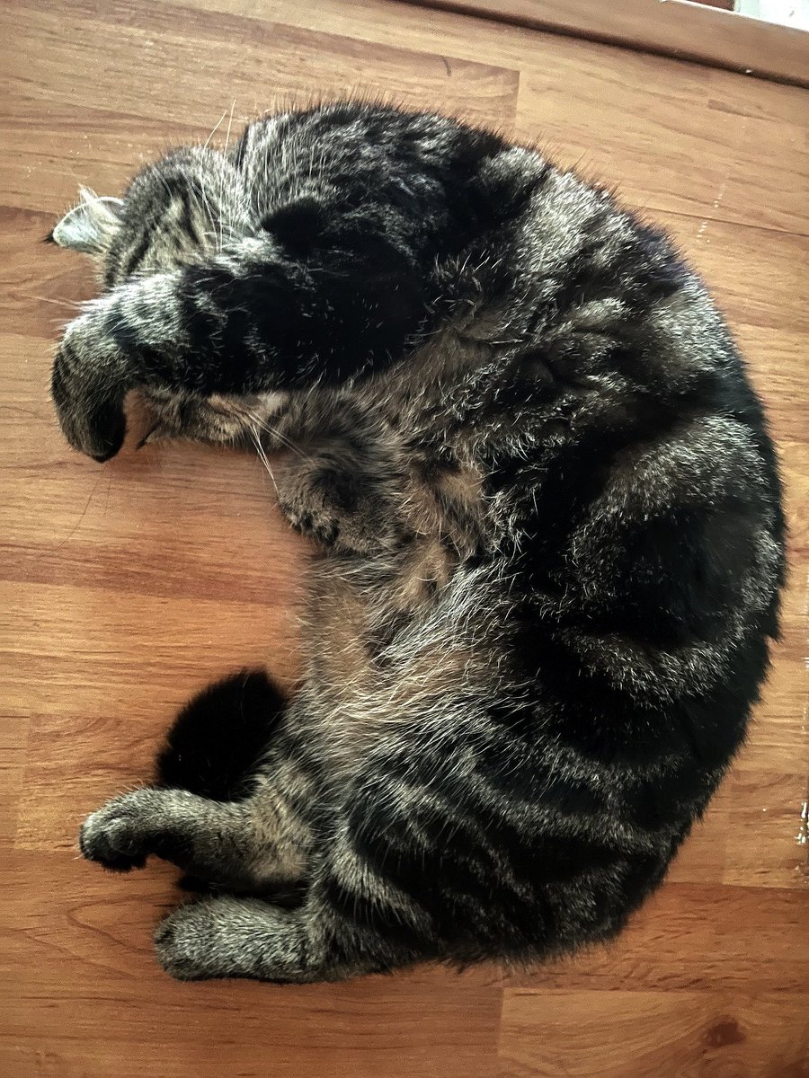 Croissant Nero ! 🥐🥐