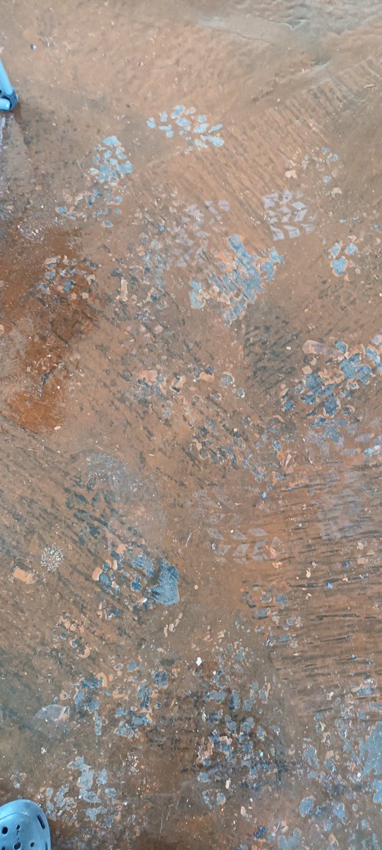 HMathole's tweet photo. @Indluplace caretaker had indicated that things were in good condition, yet they were not. How is this floor in good condition? https://t.co/5g9Tj69h9p