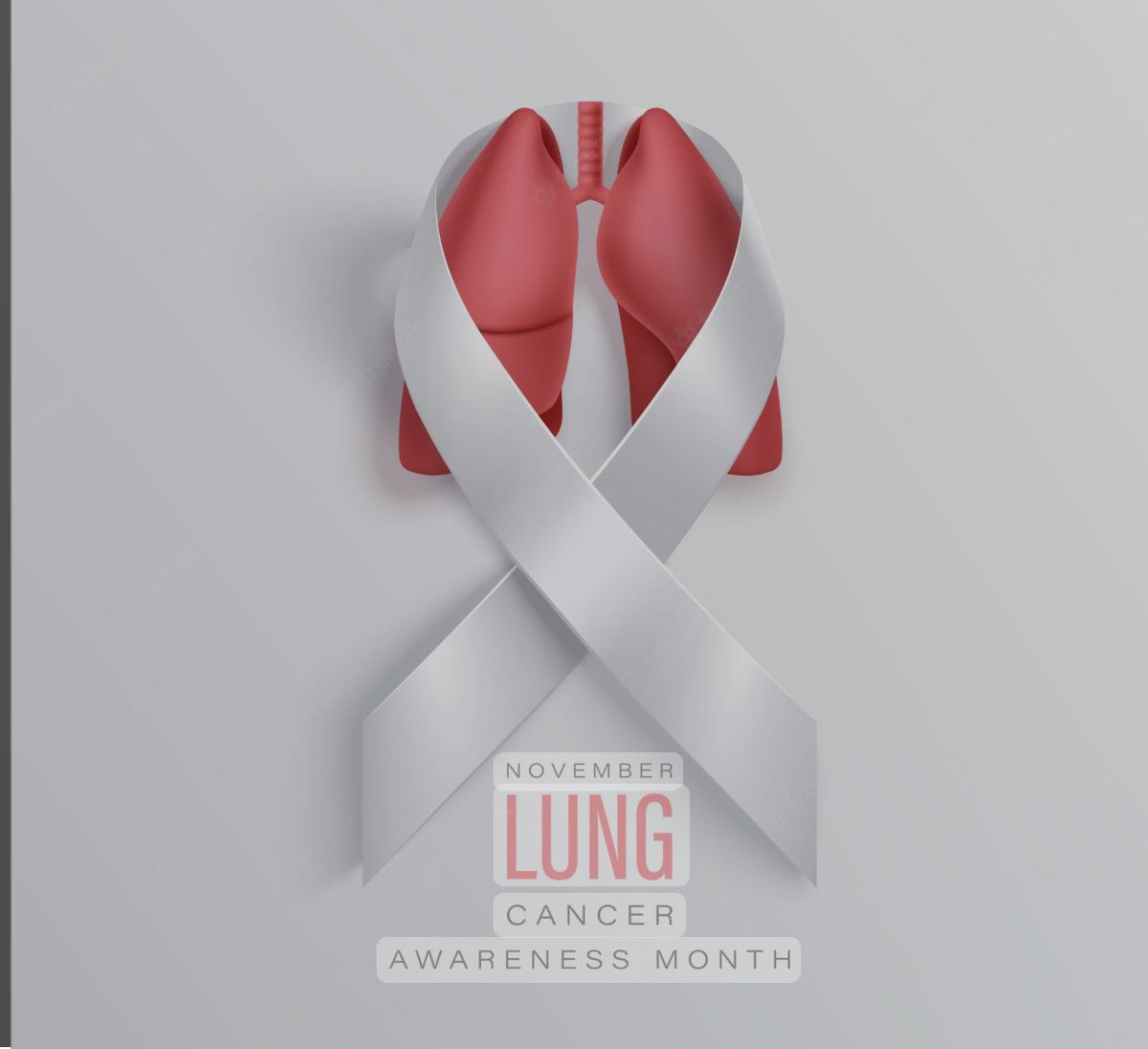 baydz's tweet photo. Did you know November is Lung Cancer Awareness Month 🫁 #LungCancerAwareness #CancerAwareness https://t.co/cfzr0lXrbw