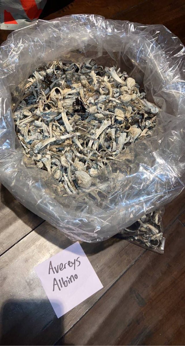 Psilocybin's capsule
t.me/onlinetripping