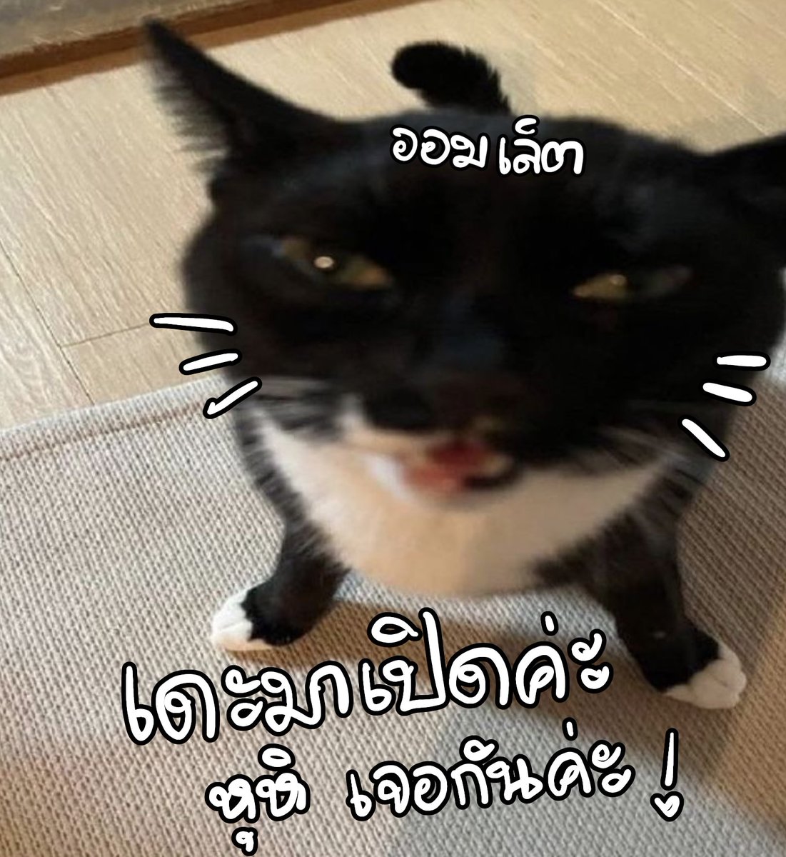 omlethouse's tweet photo. 🛎️ announce 🎀

อัพเดทตอนนี้���อมเล็ตปิดรับคิวชั่วคราวนะคะ! 

จะไปอัพเดทด้อคเป็นเวอร์ใหม่ค่ะ 🥺🙏🏻💖 ขอบคุณที่สนับสนุนกันมาตลอดค่ะ แล้วจะมาแจ้งเปิดอีกทีนะคะ 

- ใครที่อยากสอบถามคมช.ทักมาได้เสมอตามเคยค่ะ https://t.co/fmiaGoKKAl