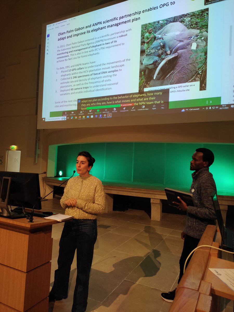 _forestelephant's tweet photo. Walter Mbamy @Parcs_Gabon et Paola Despretz, Olam Palm Gabon. Les éléphants diminuent la productivité des plantations de palmiers à huile et posent un risque sécuritaire. Le suivi par colliers GPS montre que les mâles visitent surtout la nuit et utilisent les zones HVC. https://t.co/N04daF4Rqo