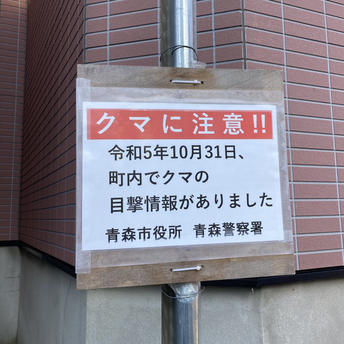 o_k_m_t_b's tweet photo. 気を付けなはれや！！
#熊出没注意 
#子熊だってさ
#浅虫
#浅虫温泉 
#ASMSONSN https://t.co/KFFNuirhBa