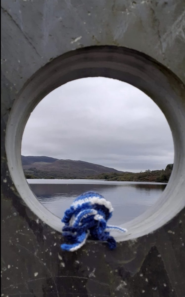 Happy world jellyfish day! From Jerome the jellyfish 🐙
-

Catch up on past #stories here: outwithanimals.wordpress.com
-
#charity #children #story #storytime #storytelling #childrensstory #childrenscharity #outwithanimals #volunteer